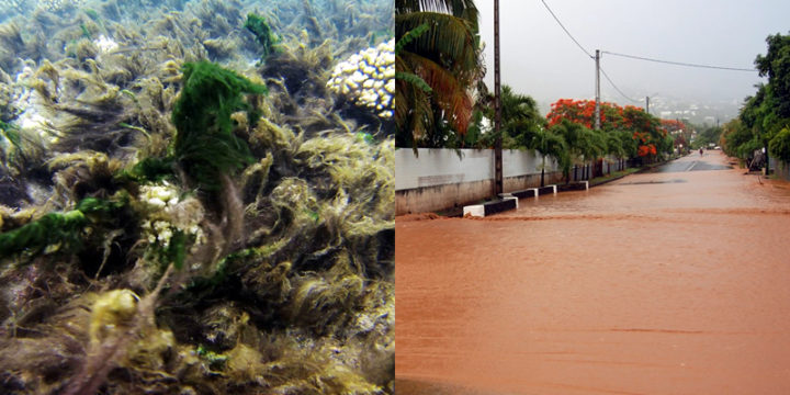 Bloom de cyanobactéries, coulées de boue… Les effets du réchauffement climatique se font sentir à l’Étang-Salé